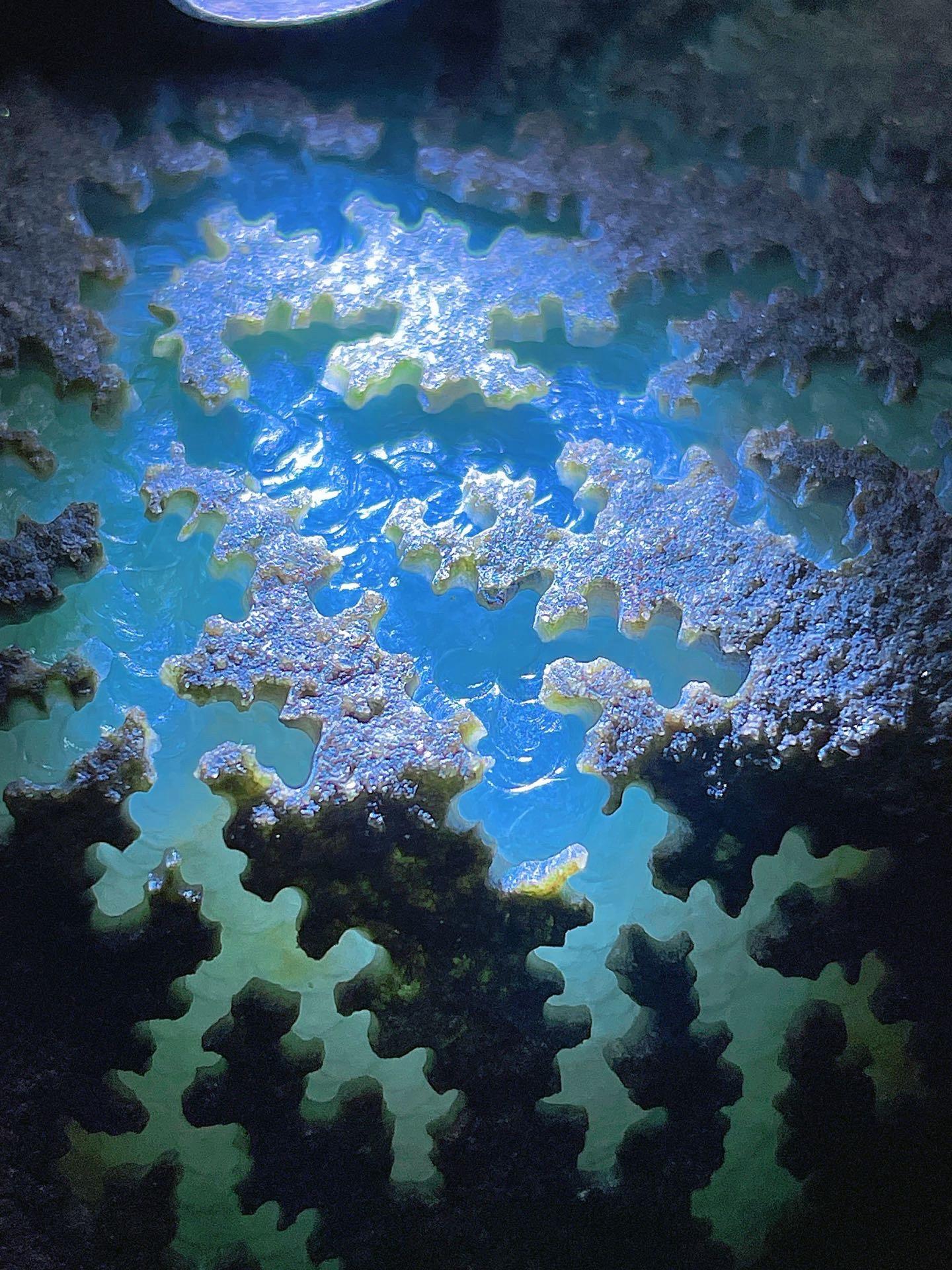 翡翠原石